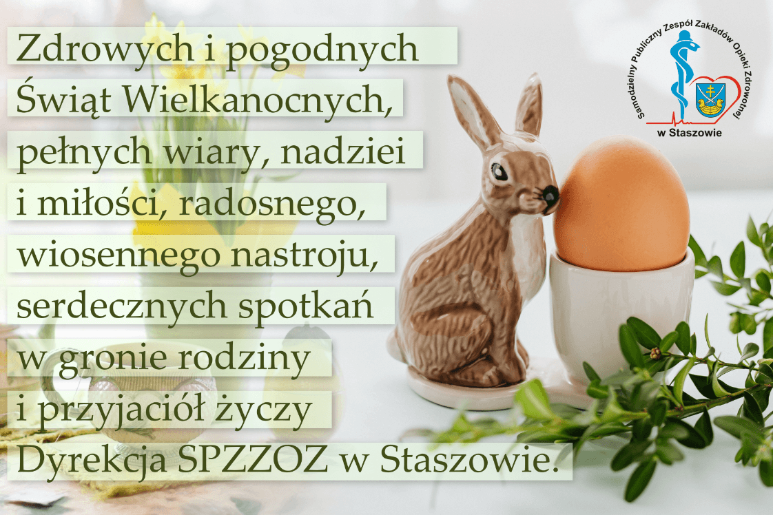 zobacz więcej zdjęć 